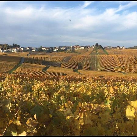 Gite En Champagne Le Sarment Cramant المظهر الخارجي الصورة