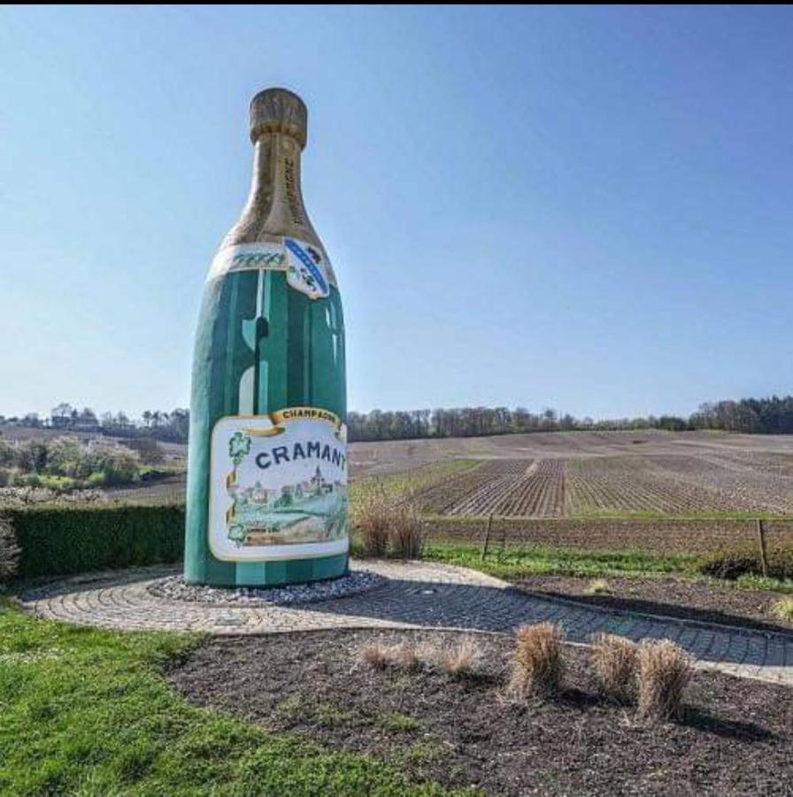 Gite En Champagne Le Sarment Cramant المظهر الخارجي الصورة