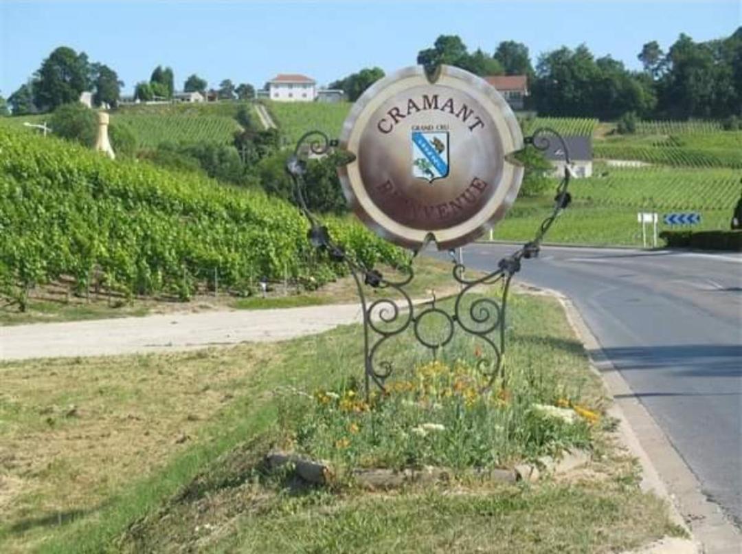 Gite En Champagne Le Sarment Cramant المظهر الخارجي الصورة