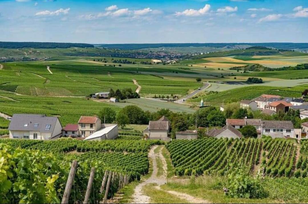 Gite En Champagne Le Sarment Cramant المظهر الخارجي الصورة